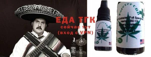 индика Абаза