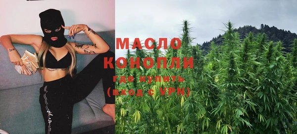 индика Абаза