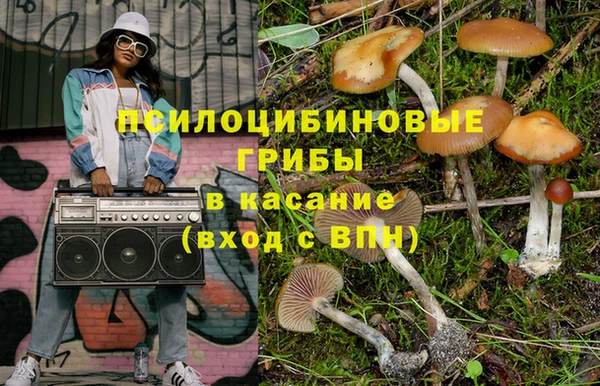 индика Абаза