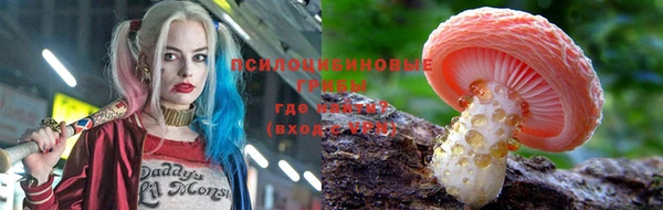 героин Алексин