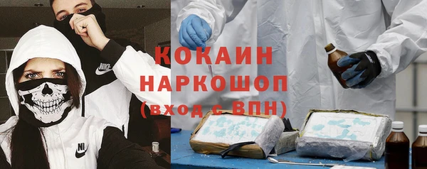 индика Абаза