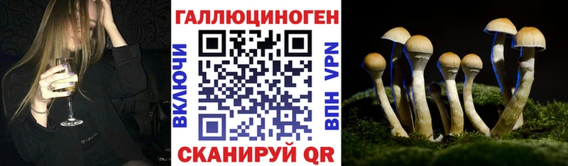 Псилоцибиновые грибы Psilocybe  где найти наркотики  кракен   Симферополь 